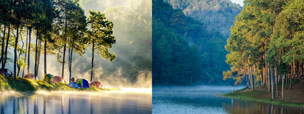 กิ่วแม่ปาน, จุดชมวิวดอยกิ่วลม, จุดชมวิวภูสอยดาว, ดอกหงอนนาค, ดอยกิ่วลม, ดอยหลวงเชียงดาว, ดอยอินทนนท์, ที่เที่ยวหน้าหนาว, ที่เที่ยวหน้าหนาว 2020, ที่เที่ยวหน้าหนาว 2563, ทุ่งดอกหงอนนาค, น้ำตกภูสอยดาว, น้ำตกแม่ยะ, ปางอุ๋ง, ปางอุ๋ง แม่ฮ่องสอน, พระมหาธาตุนภเมทนีดล, ภูชี้ฟ้า, ภูทับเบิก, ภูสอยดาว, ลานสน, ลานสนสามใบ, สะพานซูตองเป้, หมู่บ้านรักไทย, ห้วยน้ำดัง, เที่ยวกิ่วแม่ปาน, เที่ยวดอย, เที่ยวดอยอินทนนท์, เที่ยวปางอุ๋ง, เที่ยวภูชี้ฟ้า, เที่ยวภูทับเบิก, เที่ยวภูสอยดาว, เที่ยวหน้าหนาว, เที่ยวห้วยน้ำดัง, เที่ยวเชียงราย, เที่ยวเชียงใหม่, เที่ยวเพชรบูรณ์, เที่ยวแม่ฮ่องสอน, ไร่กะหล่ำปลี, top 9+ ที่เที่ยวหน้าหนาว สัมผัสสายหมอก และธรรมชาติของเมืองไทย