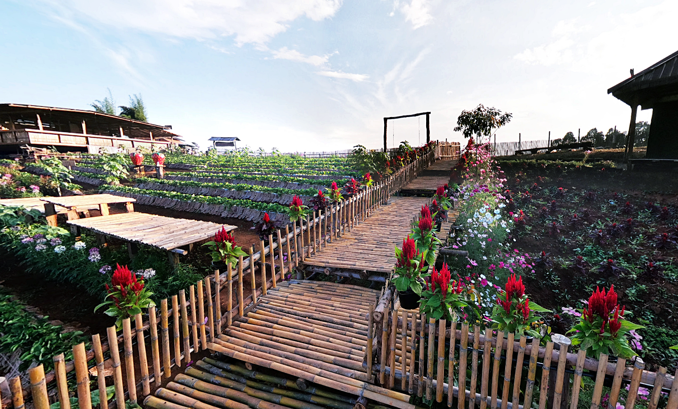 กิ่วแม่ปาน, จุดชมวิวดอยกิ่วลม, จุดชมวิวภูสอยดาว, ดอกหงอนนาค, ดอยกิ่วลม, ดอยหลวงเชียงดาว, ดอยอินทนนท์, ที่เที่ยวหน้าหนาว, ที่เที่ยวหน้าหนาว 2020, ที่เที่ยวหน้าหนาว 2563, ทุ่งดอกหงอนนาค, น้ำตกภูสอยดาว, น้ำตกแม่ยะ, ปางอุ๋ง, ปางอุ๋ง แม่ฮ่องสอน, พระมหาธาตุนภเมทนีดล, ภูชี้ฟ้า, ภูทับเบิก, ภูสอยดาว, ลานสน, ลานสนสามใบ, สะพานซูตองเป้, หมู่บ้านรักไทย, ห้วยน้ำดัง, เที่ยวกิ่วแม่ปาน, เที่ยวดอย, เที่ยวดอยอินทนนท์, เที่ยวปางอุ๋ง, เที่ยวภูชี้ฟ้า, เที่ยวภูทับเบิก, เที่ยวภูสอยดาว, เที่ยวหน้าหนาว, เที่ยวห้วยน้ำดัง, เที่ยวเชียงราย, เที่ยวเชียงใหม่, เที่ยวเพชรบูรณ์, เที่ยวแม่ฮ่องสอน, ไร่กะหล่ำปลี, top 9+ ที่เที่ยวหน้าหนาว สัมผัสสายหมอก และธรรมชาติของเมืองไทย