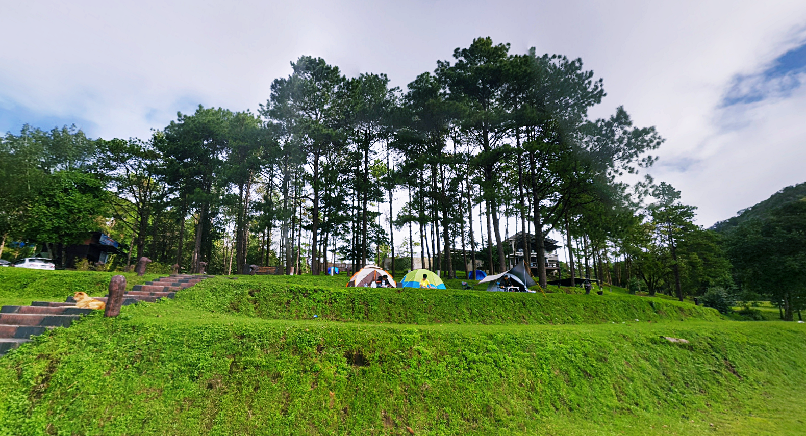 กิ่วแม่ปาน, จุดชมวิวดอยกิ่วลม, จุดชมวิวภูสอยดาว, ดอกหงอนนาค, ดอยกิ่วลม, ดอยหลวงเชียงดาว, ดอยอินทนนท์, ที่เที่ยวหน้าหนาว, ที่เที่ยวหน้าหนาว 2020, ที่เที่ยวหน้าหนาว 2563, ทุ่งดอกหงอนนาค, น้ำตกภูสอยดาว, น้ำตกแม่ยะ, ปางอุ๋ง, ปางอุ๋ง แม่ฮ่องสอน, พระมหาธาตุนภเมทนีดล, ภูชี้ฟ้า, ภูทับเบิก, ภูสอยดาว, ลานสน, ลานสนสามใบ, สะพานซูตองเป้, หมู่บ้านรักไทย, ห้วยน้ำดัง, เที่ยวกิ่วแม่ปาน, เที่ยวดอย, เที่ยวดอยอินทนนท์, เที่ยวปางอุ๋ง, เที่ยวภูชี้ฟ้า, เที่ยวภูทับเบิก, เที่ยวภูสอยดาว, เที่ยวหน้าหนาว, เที่ยวห้วยน้ำดัง, เที่ยวเชียงราย, เที่ยวเชียงใหม่, เที่ยวเพชรบูรณ์, เที่ยวแม่ฮ่องสอน, ไร่กะหล่ำปลี, top 9+ ที่เที่ยวหน้าหนาว สัมผัสสายหมอก และธรรมชาติของเมืองไทย