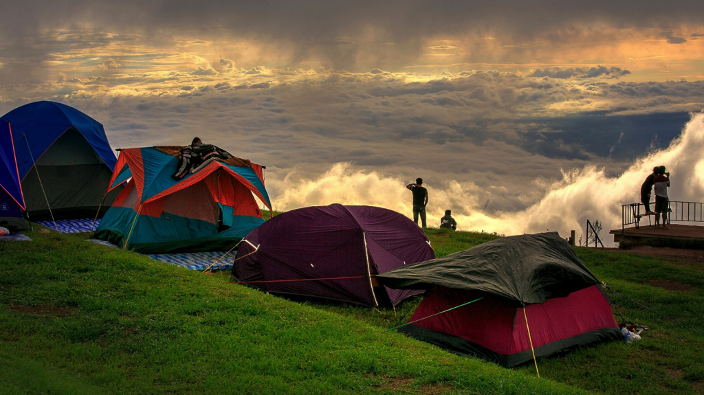กิ่วแม่ปาน, จุดชมวิวดอยกิ่วลม, จุดชมวิวภูสอยดาว, ดอกหงอนนาค, ดอยกิ่วลม, ดอยหลวงเชียงดาว, ดอยอินทนนท์, ที่เที่ยวหน้าหนาว, ที่เที่ยวหน้าหนาว 2020, ที่เที่ยวหน้าหนาว 2563, ทุ่งดอกหงอนนาค, น้ำตกภูสอยดาว, น้ำตกแม่ยะ, ปางอุ๋ง, ปางอุ๋ง แม่ฮ่องสอน, พระมหาธาตุนภเมทนีดล, ภูชี้ฟ้า, ภูทับเบิก, ภูสอยดาว, ลานสน, ลานสนสามใบ, สะพานซูตองเป้, หมู่บ้านรักไทย, ห้วยน้ำดัง, เที่ยวกิ่วแม่ปาน, เที่ยวดอย, เที่ยวดอยอินทนนท์, เที่ยวปางอุ๋ง, เที่ยวภูชี้ฟ้า, เที่ยวภูทับเบิก, เที่ยวภูสอยดาว, เที่ยวหน้าหนาว, เที่ยวห้วยน้ำดัง, เที่ยวเชียงราย, เที่ยวเชียงใหม่, เที่ยวเพชรบูรณ์, เที่ยวแม่ฮ่องสอน, ไร่กะหล่ำปลี, top 9+ ที่เที่ยวหน้าหนาว สัมผัสสายหมอก และธรรมชาติของเมืองไทย