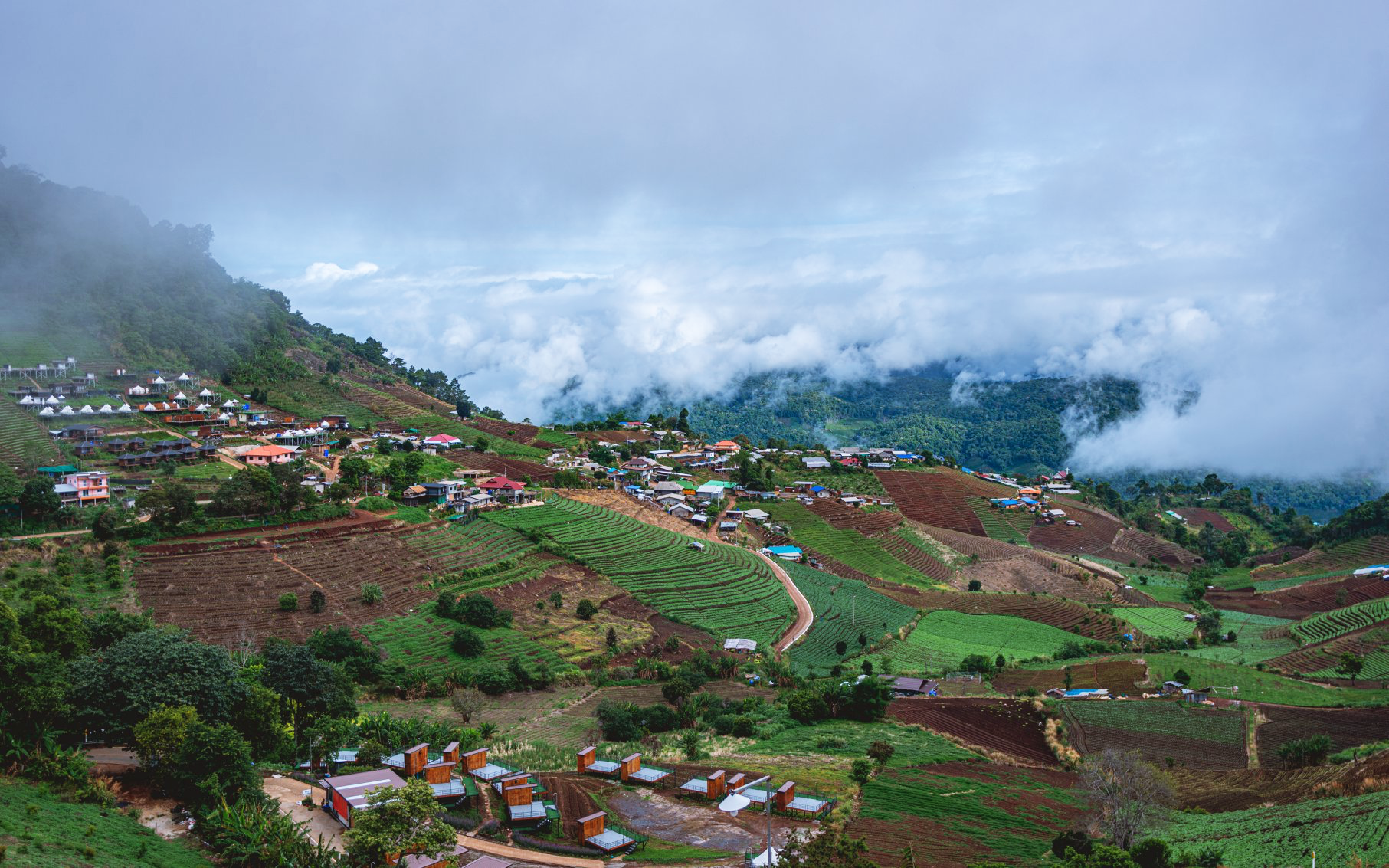 กิ่วแม่ปาน, จุดชมวิวดอยกิ่วลม, จุดชมวิวภูสอยดาว, ดอกหงอนนาค, ดอยกิ่วลม, ดอยหลวงเชียงดาว, ดอยอินทนนท์, ที่เที่ยวหน้าหนาว, ที่เที่ยวหน้าหนาว 2020, ที่เที่ยวหน้าหนาว 2563, ทุ่งดอกหงอนนาค, น้ำตกภูสอยดาว, น้ำตกแม่ยะ, ปางอุ๋ง, ปางอุ๋ง แม่ฮ่องสอน, พระมหาธาตุนภเมทนีดล, ภูชี้ฟ้า, ภูทับเบิก, ภูสอยดาว, ลานสน, ลานสนสามใบ, สะพานซูตองเป้, หมู่บ้านรักไทย, ห้วยน้ำดัง, เที่ยวกิ่วแม่ปาน, เที่ยวดอย, เที่ยวดอยอินทนนท์, เที่ยวปางอุ๋ง, เที่ยวภูชี้ฟ้า, เที่ยวภูทับเบิก, เที่ยวภูสอยดาว, เที่ยวหน้าหนาว, เที่ยวห้วยน้ำดัง, เที่ยวเชียงราย, เที่ยวเชียงใหม่, เที่ยวเพชรบูรณ์, เที่ยวแม่ฮ่องสอน, ไร่กะหล่ำปลี, top 9+ ที่เที่ยวหน้าหนาว สัมผัสสายหมอก และธรรมชาติของเมืองไทย