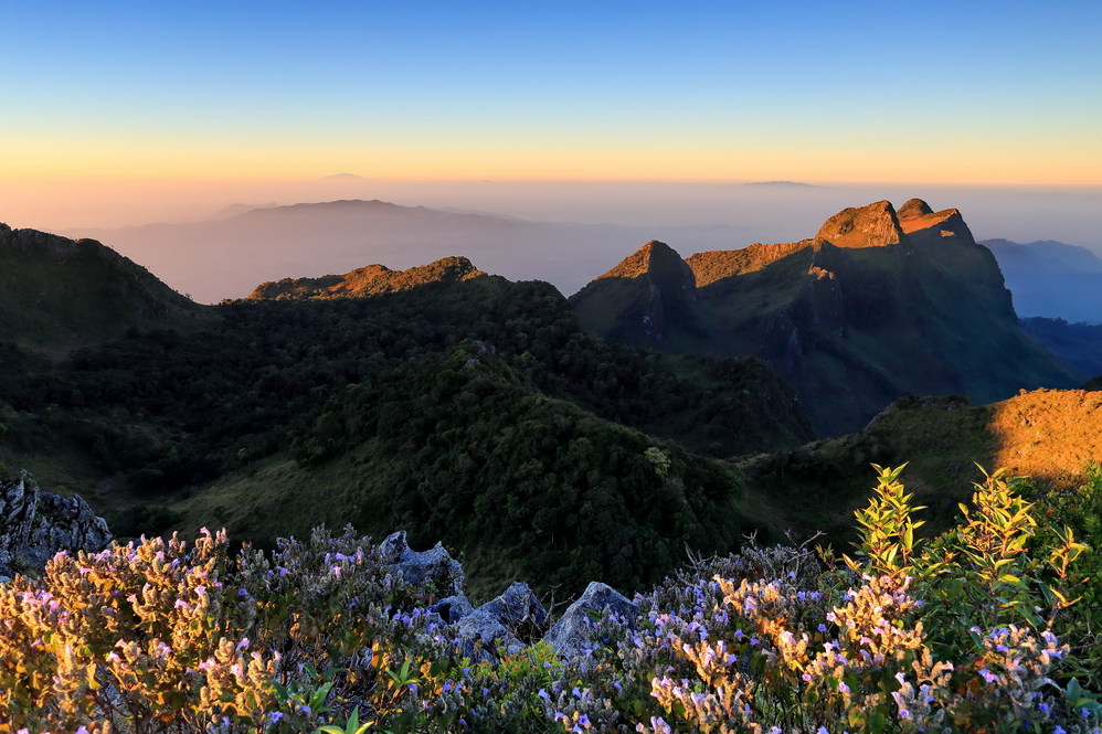 กิ่วแม่ปาน, จุดชมวิวดอยกิ่วลม, จุดชมวิวภูสอยดาว, ดอกหงอนนาค, ดอยกิ่วลม, ดอยหลวงเชียงดาว, ดอยอินทนนท์, ที่เที่ยวหน้าหนาว, ที่เที่ยวหน้าหนาว 2020, ที่เที่ยวหน้าหนาว 2563, ทุ่งดอกหงอนนาค, น้ำตกภูสอยดาว, น้ำตกแม่ยะ, ปางอุ๋ง, ปางอุ๋ง แม่ฮ่องสอน, พระมหาธาตุนภเมทนีดล, ภูชี้ฟ้า, ภูทับเบิก, ภูสอยดาว, ลานสน, ลานสนสามใบ, สะพานซูตองเป้, หมู่บ้านรักไทย, ห้วยน้ำดัง, เที่ยวกิ่วแม่ปาน, เที่ยวดอย, เที่ยวดอยอินทนนท์, เที่ยวปางอุ๋ง, เที่ยวภูชี้ฟ้า, เที่ยวภูทับเบิก, เที่ยวภูสอยดาว, เที่ยวหน้าหนาว, เที่ยวห้วยน้ำดัง, เที่ยวเชียงราย, เที่ยวเชียงใหม่, เที่ยวเพชรบูรณ์, เที่ยวแม่ฮ่องสอน, ไร่กะหล่ำปลี, top 9+ ที่เที่ยวหน้าหนาว สัมผัสสายหมอก และธรรมชาติของเมืองไทย