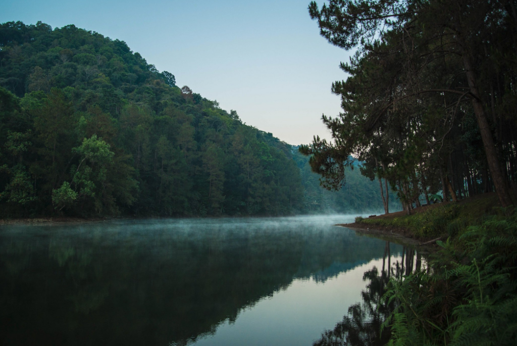 กิ่วแม่ปาน, จุดชมวิวดอยกิ่วลม, จุดชมวิวภูสอยดาว, ดอกหงอนนาค, ดอยกิ่วลม, ดอยหลวงเชียงดาว, ดอยอินทนนท์, ที่เที่ยวหน้าหนาว, ที่เที่ยวหน้าหนาว 2020, ที่เที่ยวหน้าหนาว 2563, ทุ่งดอกหงอนนาค, น้ำตกภูสอยดาว, น้ำตกแม่ยะ, ปางอุ๋ง, ปางอุ๋ง แม่ฮ่องสอน, พระมหาธาตุนภเมทนีดล, ภูชี้ฟ้า, ภูทับเบิก, ภูสอยดาว, ลานสน, ลานสนสามใบ, สะพานซูตองเป้, หมู่บ้านรักไทย, ห้วยน้ำดัง, เที่ยวกิ่วแม่ปาน, เที่ยวดอย, เที่ยวดอยอินทนนท์, เที่ยวปางอุ๋ง, เที่ยวภูชี้ฟ้า, เที่ยวภูทับเบิก, เที่ยวภูสอยดาว, เที่ยวหน้าหนาว, เที่ยวห้วยน้ำดัง, เที่ยวเชียงราย, เที่ยวเชียงใหม่, เที่ยวเพชรบูรณ์, เที่ยวแม่ฮ่องสอน, ไร่กะหล่ำปลี, top 9+ ที่เที่ยวหน้าหนาว สัมผัสสายหมอก และธรรมชาติของเมืองไทย