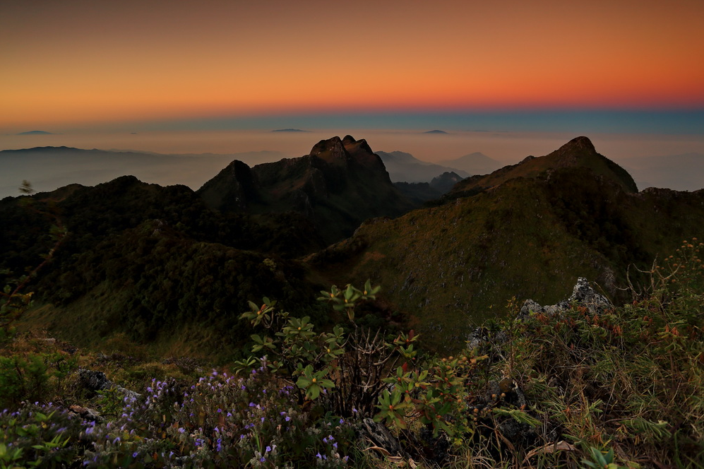 กิ่วแม่ปาน, จุดชมวิวดอยกิ่วลม, จุดชมวิวภูสอยดาว, ดอกหงอนนาค, ดอยกิ่วลม, ดอยหลวงเชียงดาว, ดอยอินทนนท์, ที่เที่ยวหน้าหนาว, ที่เที่ยวหน้าหนาว 2020, ที่เที่ยวหน้าหนาว 2563, ทุ่งดอกหงอนนาค, น้ำตกภูสอยดาว, น้ำตกแม่ยะ, ปางอุ๋ง, ปางอุ๋ง แม่ฮ่องสอน, พระมหาธาตุนภเมทนีดล, ภูชี้ฟ้า, ภูทับเบิก, ภูสอยดาว, ลานสน, ลานสนสามใบ, สะพานซูตองเป้, หมู่บ้านรักไทย, ห้วยน้ำดัง, เที่ยวกิ่วแม่ปาน, เที่ยวดอย, เที่ยวดอยอินทนนท์, เที่ยวปางอุ๋ง, เที่ยวภูชี้ฟ้า, เที่ยวภูทับเบิก, เที่ยวภูสอยดาว, เที่ยวหน้าหนาว, เที่ยวห้วยน้ำดัง, เที่ยวเชียงราย, เที่ยวเชียงใหม่, เที่ยวเพชรบูรณ์, เที่ยวแม่ฮ่องสอน, ไร่กะหล่ำปลี, top 9+ ที่เที่ยวหน้าหนาว สัมผัสสายหมอก และธรรมชาติของเมืองไทย