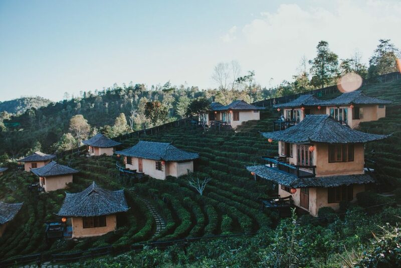 กิ่วแม่ปาน, จุดชมวิวดอยกิ่วลม, จุดชมวิวภูสอยดาว, ดอกหงอนนาค, ดอยกิ่วลม, ดอยหลวงเชียงดาว, ดอยอินทนนท์, ที่เที่ยวหน้าหนาว, ที่เที่ยวหน้าหนาว 2020, ที่เที่ยวหน้าหนาว 2563, ทุ่งดอกหงอนนาค, น้ำตกภูสอยดาว, น้ำตกแม่ยะ, ปางอุ๋ง, ปางอุ๋ง แม่ฮ่องสอน, พระมหาธาตุนภเมทนีดล, ภูชี้ฟ้า, ภูทับเบิก, ภูสอยดาว, ลานสน, ลานสนสามใบ, สะพานซูตองเป้, หมู่บ้านรักไทย, ห้วยน้ำดัง, เที่ยวกิ่วแม่ปาน, เที่ยวดอย, เที่ยวดอยอินทนนท์, เที่ยวปางอุ๋ง, เที่ยวภูชี้ฟ้า, เที่ยวภูทับเบิก, เที่ยวภูสอยดาว, เที่ยวหน้าหนาว, เที่ยวห้วยน้ำดัง, เที่ยวเชียงราย, เที่ยวเชียงใหม่, เที่ยวเพชรบูรณ์, เที่ยวแม่ฮ่องสอน, ไร่กะหล่ำปลี, top 9+ ที่เที่ยวหน้าหนาว สัมผัสสายหมอก และธรรมชาติของเมืองไทย