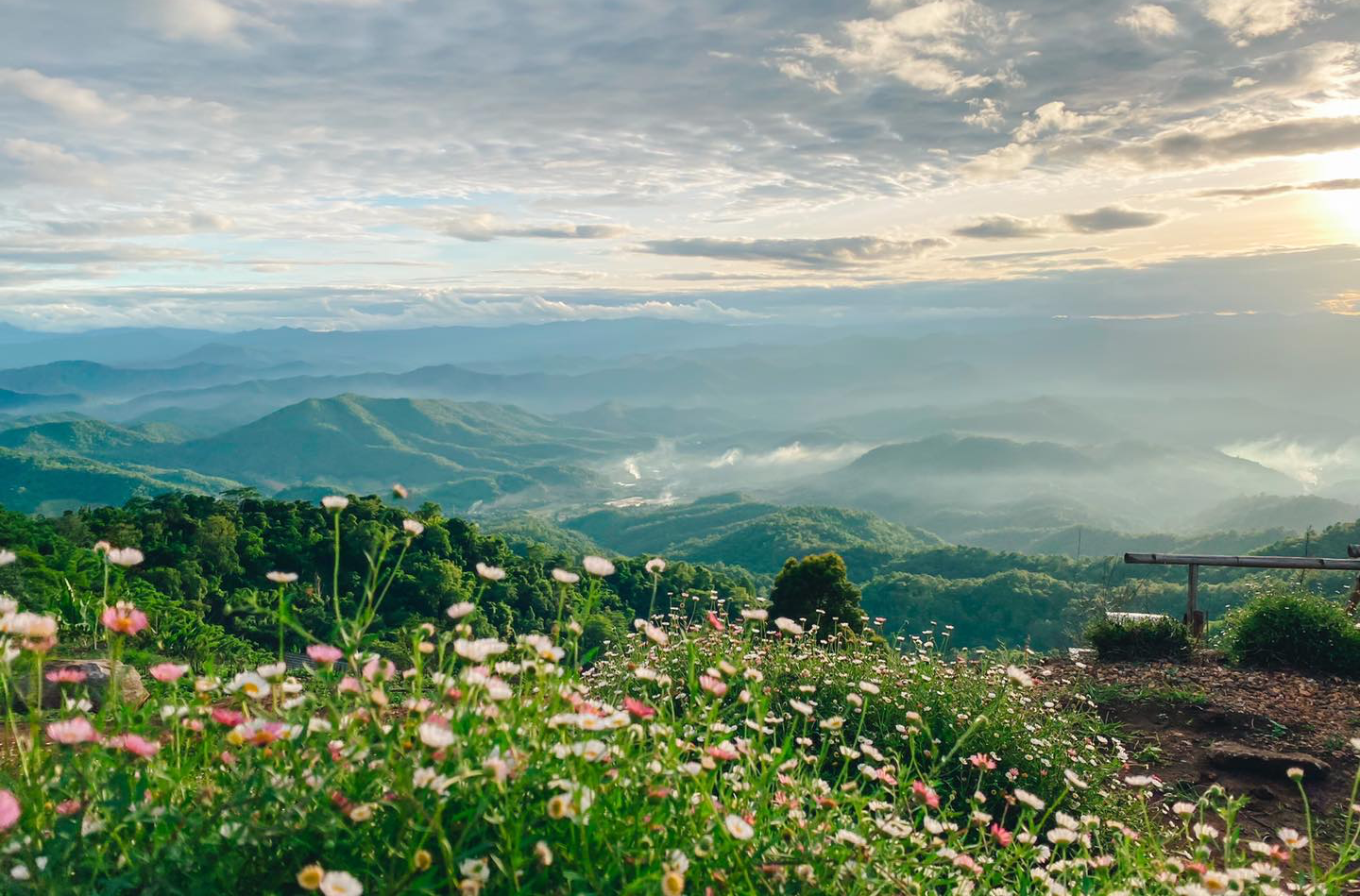 กิ่วแม่ปาน, จุดชมวิวดอยกิ่วลม, จุดชมวิวภูสอยดาว, ดอกหงอนนาค, ดอยกิ่วลม, ดอยหลวงเชียงดาว, ดอยอินทนนท์, ที่เที่ยวหน้าหนาว, ที่เที่ยวหน้าหนาว 2020, ที่เที่ยวหน้าหนาว 2563, ทุ่งดอกหงอนนาค, น้ำตกภูสอยดาว, น้ำตกแม่ยะ, ปางอุ๋ง, ปางอุ๋ง แม่ฮ่องสอน, พระมหาธาตุนภเมทนีดล, ภูชี้ฟ้า, ภูทับเบิก, ภูสอยดาว, ลานสน, ลานสนสามใบ, สะพานซูตองเป้, หมู่บ้านรักไทย, ห้วยน้ำดัง, เที่ยวกิ่วแม่ปาน, เที่ยวดอย, เที่ยวดอยอินทนนท์, เที่ยวปางอุ๋ง, เที่ยวภูชี้ฟ้า, เที่ยวภูทับเบิก, เที่ยวภูสอยดาว, เที่ยวหน้าหนาว, เที่ยวห้วยน้ำดัง, เที่ยวเชียงราย, เที่ยวเชียงใหม่, เที่ยวเพชรบูรณ์, เที่ยวแม่ฮ่องสอน, ไร่กะหล่ำปลี, top 9+ ที่เที่ยวหน้าหนาว สัมผัสสายหมอก และธรรมชาติของเมืองไทย