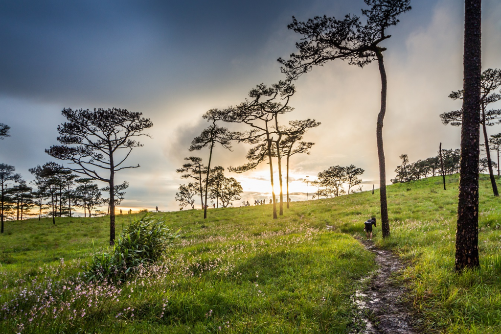 กิ่วแม่ปาน, จุดชมวิวดอยกิ่วลม, จุดชมวิวภูสอยดาว, ดอกหงอนนาค, ดอยกิ่วลม, ดอยหลวงเชียงดาว, ดอยอินทนนท์, ที่เที่ยวหน้าหนาว, ที่เที่ยวหน้าหนาว 2020, ที่เที่ยวหน้าหนาว 2563, ทุ่งดอกหงอนนาค, น้ำตกภูสอยดาว, น้ำตกแม่ยะ, ปางอุ๋ง, ปางอุ๋ง แม่ฮ่องสอน, พระมหาธาตุนภเมทนีดล, ภูชี้ฟ้า, ภูทับเบิก, ภูสอยดาว, ลานสน, ลานสนสามใบ, สะพานซูตองเป้, หมู่บ้านรักไทย, ห้วยน้ำดัง, เที่ยวกิ่วแม่ปาน, เที่ยวดอย, เที่ยวดอยอินทนนท์, เที่ยวปางอุ๋ง, เที่ยวภูชี้ฟ้า, เที่ยวภูทับเบิก, เที่ยวภูสอยดาว, เที่ยวหน้าหนาว, เที่ยวห้วยน้ำดัง, เที่ยวเชียงราย, เที่ยวเชียงใหม่, เที่ยวเพชรบูรณ์, เที่ยวแม่ฮ่องสอน, ไร่กะหล่ำปลี, top 9+ ที่เที่ยวหน้าหนาว สัมผัสสายหมอก และธรรมชาติของเมืองไทย