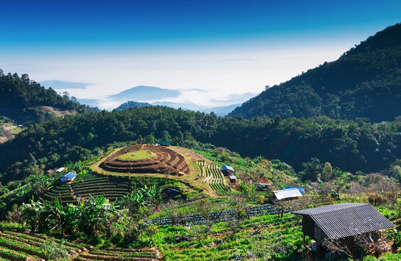 กิ่วแม่ปาน, จุดชมวิวดอยกิ่วลม, จุดชมวิวภูสอยดาว, ดอกหงอนนาค, ดอยกิ่วลม, ดอยหลวงเชียงดาว, ดอยอินทนนท์, ที่เที่ยวหน้าหนาว, ที่เที่ยวหน้าหนาว 2020, ที่เที่ยวหน้าหนาว 2563, ทุ่งดอกหงอนนาค, น้ำตกภูสอยดาว, น้ำตกแม่ยะ, ปางอุ๋ง, ปางอุ๋ง แม่ฮ่องสอน, พระมหาธาตุนภเมทนีดล, ภูชี้ฟ้า, ภูทับเบิก, ภูสอยดาว, ลานสน, ลานสนสามใบ, สะพานซูตองเป้, หมู่บ้านรักไทย, ห้วยน้ำดัง, เที่ยวกิ่วแม่ปาน, เที่ยวดอย, เที่ยวดอยอินทนนท์, เที่ยวปางอุ๋ง, เที่ยวภูชี้ฟ้า, เที่ยวภูทับเบิก, เที่ยวภูสอยดาว, เที่ยวหน้าหนาว, เที่ยวห้วยน้ำดัง, เที่ยวเชียงราย, เที่ยวเชียงใหม่, เที่ยวเพชรบูรณ์, เที่ยวแม่ฮ่องสอน, ไร่กะหล่ำปลี, top 9+ ที่เที่ยวหน้าหนาว สัมผัสสายหมอก และธรรมชาติของเมืองไทย