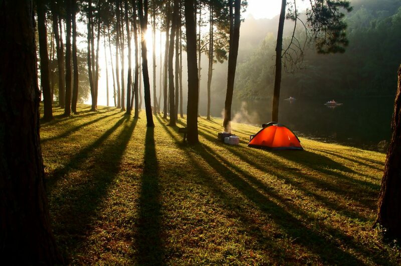 กิ่วแม่ปาน, จุดชมวิวดอยกิ่วลม, จุดชมวิวภูสอยดาว, ดอกหงอนนาค, ดอยกิ่วลม, ดอยหลวงเชียงดาว, ดอยอินทนนท์, ที่เที่ยวหน้าหนาว, ที่เที่ยวหน้าหนาว 2020, ที่เที่ยวหน้าหนาว 2563, ทุ่งดอกหงอนนาค, น้ำตกภูสอยดาว, น้ำตกแม่ยะ, ปางอุ๋ง, ปางอุ๋ง แม่ฮ่องสอน, พระมหาธาตุนภเมทนีดล, ภูชี้ฟ้า, ภูทับเบิก, ภูสอยดาว, ลานสน, ลานสนสามใบ, สะพานซูตองเป้, หมู่บ้านรักไทย, ห้วยน้ำดัง, เที่ยวกิ่วแม่ปาน, เที่ยวดอย, เที่ยวดอยอินทนนท์, เที่ยวปางอุ๋ง, เที่ยวภูชี้ฟ้า, เที่ยวภูทับเบิก, เที่ยวภูสอยดาว, เที่ยวหน้าหนาว, เที่ยวห้วยน้ำดัง, เที่ยวเชียงราย, เที่ยวเชียงใหม่, เที่ยวเพชรบูรณ์, เที่ยวแม่ฮ่องสอน, ไร่กะหล่ำปลี, top 9+ ที่เที่ยวหน้าหนาว สัมผัสสายหมอก และธรรมชาติของเมืองไทย