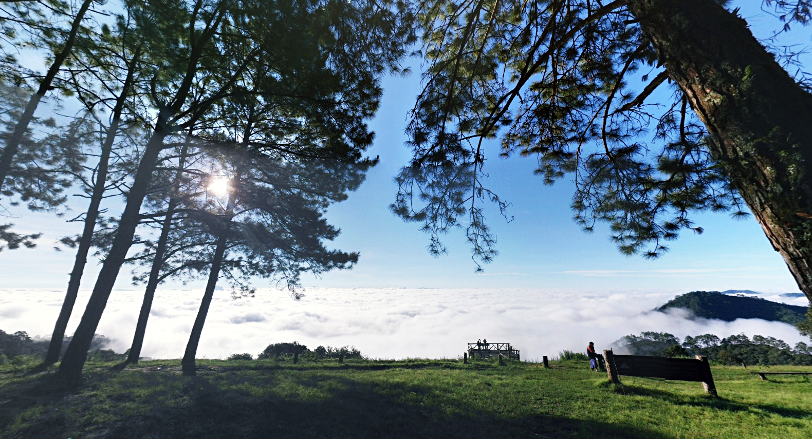 กิ่วแม่ปาน, จุดชมวิวดอยกิ่วลม, จุดชมวิวภูสอยดาว, ดอกหงอนนาค, ดอยกิ่วลม, ดอยหลวงเชียงดาว, ดอยอินทนนท์, ที่เที่ยวหน้าหนาว, ที่เที่ยวหน้าหนาว 2020, ที่เที่ยวหน้าหนาว 2563, ทุ่งดอกหงอนนาค, น้ำตกภูสอยดาว, น้ำตกแม่ยะ, ปางอุ๋ง, ปางอุ๋ง แม่ฮ่องสอน, พระมหาธาตุนภเมทนีดล, ภูชี้ฟ้า, ภูทับเบิก, ภูสอยดาว, ลานสน, ลานสนสามใบ, สะพานซูตองเป้, หมู่บ้านรักไทย, ห้วยน้ำดัง, เที่ยวกิ่วแม่ปาน, เที่ยวดอย, เที่ยวดอยอินทนนท์, เที่ยวปางอุ๋ง, เที่ยวภูชี้ฟ้า, เที่ยวภูทับเบิก, เที่ยวภูสอยดาว, เที่ยวหน้าหนาว, เที่ยวห้วยน้ำดัง, เที่ยวเชียงราย, เที่ยวเชียงใหม่, เที่ยวเพชรบูรณ์, เที่ยวแม่ฮ่องสอน, ไร่กะหล่ำปลี, top 9+ ที่เที่ยวหน้าหนาว สัมผัสสายหมอก และธรรมชาติของเมืองไทย