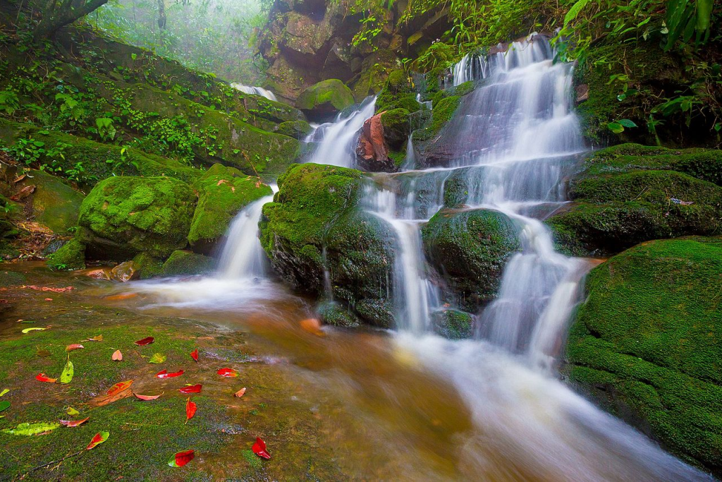 กิ่วแม่ปาน, จุดชมวิวดอยกิ่วลม, จุดชมวิวภูสอยดาว, ดอกหงอนนาค, ดอยกิ่วลม, ดอยหลวงเชียงดาว, ดอยอินทนนท์, ที่เที่ยวหน้าหนาว, ที่เที่ยวหน้าหนาว 2020, ที่เที่ยวหน้าหนาว 2563, ทุ่งดอกหงอนนาค, น้ำตกภูสอยดาว, น้ำตกแม่ยะ, ปางอุ๋ง, ปางอุ๋ง แม่ฮ่องสอน, พระมหาธาตุนภเมทนีดล, ภูชี้ฟ้า, ภูทับเบิก, ภูสอยดาว, ลานสน, ลานสนสามใบ, สะพานซูตองเป้, หมู่บ้านรักไทย, ห้วยน้ำดัง, เที่ยวกิ่วแม่ปาน, เที่ยวดอย, เที่ยวดอยอินทนนท์, เที่ยวปางอุ๋ง, เที่ยวภูชี้ฟ้า, เที่ยวภูทับเบิก, เที่ยวภูสอยดาว, เที่ยวหน้าหนาว, เที่ยวห้วยน้ำดัง, เที่ยวเชียงราย, เที่ยวเชียงใหม่, เที่ยวเพชรบูรณ์, เที่ยวแม่ฮ่องสอน, ไร่กะหล่ำปลี, top 9+ ที่เที่ยวหน้าหนาว สัมผัสสายหมอก และธรรมชาติของเมืองไทย