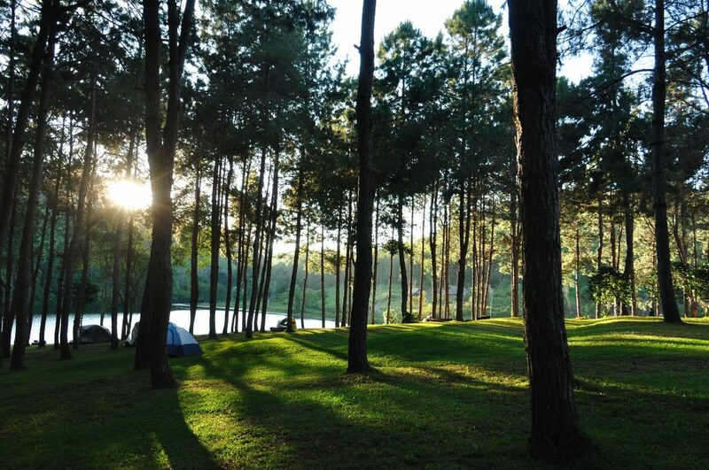 กิ่วแม่ปาน, จุดชมวิวดอยกิ่วลม, จุดชมวิวภูสอยดาว, ดอกหงอนนาค, ดอยกิ่วลม, ดอยหลวงเชียงดาว, ดอยอินทนนท์, ที่เที่ยวหน้าหนาว, ที่เที่ยวหน้าหนาว 2020, ที่เที่ยวหน้าหนาว 2563, ทุ่งดอกหงอนนาค, น้ำตกภูสอยดาว, น้ำตกแม่ยะ, ปางอุ๋ง, ปางอุ๋ง แม่ฮ่องสอน, พระมหาธาตุนภเมทนีดล, ภูชี้ฟ้า, ภูทับเบิก, ภูสอยดาว, ลานสน, ลานสนสามใบ, สะพานซูตองเป้, หมู่บ้านรักไทย, ห้วยน้ำดัง, เที่ยวกิ่วแม่ปาน, เที่ยวดอย, เที่ยวดอยอินทนนท์, เที่ยวปางอุ๋ง, เที่ยวภูชี้ฟ้า, เที่ยวภูทับเบิก, เที่ยวภูสอยดาว, เที่ยวหน้าหนาว, เที่ยวห้วยน้ำดัง, เที่ยวเชียงราย, เที่ยวเชียงใหม่, เที่ยวเพชรบูรณ์, เที่ยวแม่ฮ่องสอน, ไร่กะหล่ำปลี, top 9+ ที่เที่ยวหน้าหนาว สัมผัสสายหมอก และธรรมชาติของเมืองไทย