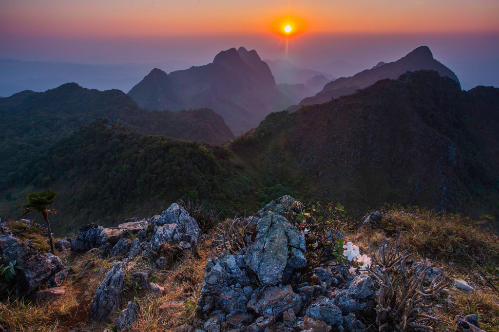 กิ่วแม่ปาน, จุดชมวิวดอยกิ่วลม, จุดชมวิวภูสอยดาว, ดอกหงอนนาค, ดอยกิ่วลม, ดอยหลวงเชียงดาว, ดอยอินทนนท์, ที่เที่ยวหน้าหนาว, ที่เที่ยวหน้าหนาว 2020, ที่เที่ยวหน้าหนาว 2563, ทุ่งดอกหงอนนาค, น้ำตกภูสอยดาว, น้ำตกแม่ยะ, ปางอุ๋ง, ปางอุ๋ง แม่ฮ่องสอน, พระมหาธาตุนภเมทนีดล, ภูชี้ฟ้า, ภูทับเบิก, ภูสอยดาว, ลานสน, ลานสนสามใบ, สะพานซูตองเป้, หมู่บ้านรักไทย, ห้วยน้ำดัง, เที่ยวกิ่วแม่ปาน, เที่ยวดอย, เที่ยวดอยอินทนนท์, เที่ยวปางอุ๋ง, เที่ยวภูชี้ฟ้า, เที่ยวภูทับเบิก, เที่ยวภูสอยดาว, เที่ยวหน้าหนาว, เที่ยวห้วยน้ำดัง, เที่ยวเชียงราย, เที่ยวเชียงใหม่, เที่ยวเพชรบูรณ์, เที่ยวแม่ฮ่องสอน, ไร่กะหล่ำปลี, top 9+ ที่เที่ยวหน้าหนาว สัมผัสสายหมอก และธรรมชาติของเมืองไทย