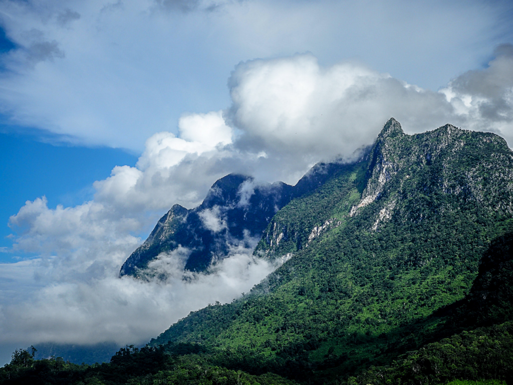 กิ่วแม่ปาน, จุดชมวิวดอยกิ่วลม, จุดชมวิวภูสอยดาว, ดอกหงอนนาค, ดอยกิ่วลม, ดอยหลวงเชียงดาว, ดอยอินทนนท์, ที่เที่ยวหน้าหนาว, ที่เที่ยวหน้าหนาว 2020, ที่เที่ยวหน้าหนาว 2563, ทุ่งดอกหงอนนาค, น้ำตกภูสอยดาว, น้ำตกแม่ยะ, ปางอุ๋ง, ปางอุ๋ง แม่ฮ่องสอน, พระมหาธาตุนภเมทนีดล, ภูชี้ฟ้า, ภูทับเบิก, ภูสอยดาว, ลานสน, ลานสนสามใบ, สะพานซูตองเป้, หมู่บ้านรักไทย, ห้วยน้ำดัง, เที่ยวกิ่วแม่ปาน, เที่ยวดอย, เที่ยวดอยอินทนนท์, เที่ยวปางอุ๋ง, เที่ยวภูชี้ฟ้า, เที่ยวภูทับเบิก, เที่ยวภูสอยดาว, เที่ยวหน้าหนาว, เที่ยวห้วยน้ำดัง, เที่ยวเชียงราย, เที่ยวเชียงใหม่, เที่ยวเพชรบูรณ์, เที่ยวแม่ฮ่องสอน, ไร่กะหล่ำปลี, top 9+ ที่เที่ยวหน้าหนาว สัมผัสสายหมอก และธรรมชาติของเมืองไทย