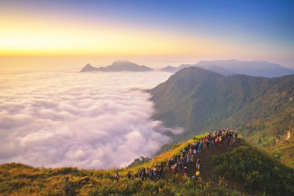 กิ่วแม่ปาน, จุดชมวิวดอยกิ่วลม, จุดชมวิวภูสอยดาว, ดอกหงอนนาค, ดอยกิ่วลม, ดอยหลวงเชียงดาว, ดอยอินทนนท์, ที่เที่ยวหน้าหนาว, ที่เที่ยวหน้าหนาว 2020, ที่เที่ยวหน้าหนาว 2563, ทุ่งดอกหงอนนาค, น้ำตกภูสอยดาว, น้ำตกแม่ยะ, ปางอุ๋ง, ปางอุ๋ง แม่ฮ่องสอน, พระมหาธาตุนภเมทนีดล, ภูชี้ฟ้า, ภูทับเบิก, ภูสอยดาว, ลานสน, ลานสนสามใบ, สะพานซูตองเป้, หมู่บ้านรักไทย, ห้วยน้ำดัง, เที่ยวกิ่วแม่ปาน, เที่ยวดอย, เที่ยวดอยอินทนนท์, เที่ยวปางอุ๋ง, เที่ยวภูชี้ฟ้า, เที่ยวภูทับเบิก, เที่ยวภูสอยดาว, เที่ยวหน้าหนาว, เที่ยวห้วยน้ำดัง, เที่ยวเชียงราย, เที่ยวเชียงใหม่, เที่ยวเพชรบูรณ์, เที่ยวแม่ฮ่องสอน, ไร่กะหล่ำปลี, top 9+ ที่เที่ยวหน้าหนาว สัมผัสสายหมอก และธรรมชาติของเมืองไทย