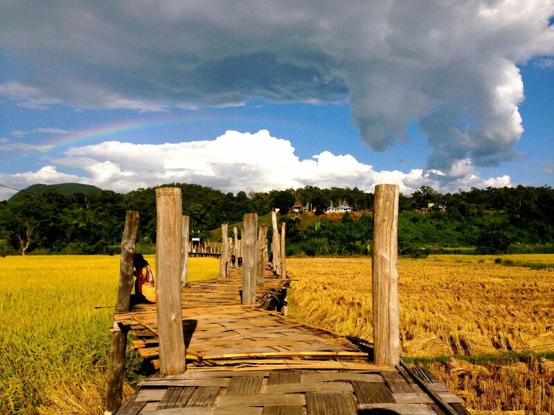 กิ่วแม่ปาน, จุดชมวิวดอยกิ่วลม, จุดชมวิวภูสอยดาว, ดอกหงอนนาค, ดอยกิ่วลม, ดอยหลวงเชียงดาว, ดอยอินทนนท์, ที่เที่ยวหน้าหนาว, ที่เที่ยวหน้าหนาว 2020, ที่เที่ยวหน้าหนาว 2563, ทุ่งดอกหงอนนาค, น้ำตกภูสอยดาว, น้ำตกแม่ยะ, ปางอุ๋ง, ปางอุ๋ง แม่ฮ่องสอน, พระมหาธาตุนภเมทนีดล, ภูชี้ฟ้า, ภูทับเบิก, ภูสอยดาว, ลานสน, ลานสนสามใบ, สะพานซูตองเป้, หมู่บ้านรักไทย, ห้วยน้ำดัง, เที่ยวกิ่วแม่ปาน, เที่ยวดอย, เที่ยวดอยอินทนนท์, เที่ยวปางอุ๋ง, เที่ยวภูชี้ฟ้า, เที่ยวภูทับเบิก, เที่ยวภูสอยดาว, เที่ยวหน้าหนาว, เที่ยวห้วยน้ำดัง, เที่ยวเชียงราย, เที่ยวเชียงใหม่, เที่ยวเพชรบูรณ์, เที่ยวแม่ฮ่องสอน, ไร่กะหล่ำปลี, top 9+ ที่เที่ยวหน้าหนาว สัมผัสสายหมอก และธรรมชาติของเมืองไทย