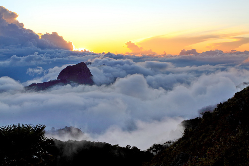กิ่วแม่ปาน, จุดชมวิวดอยกิ่วลม, จุดชมวิวภูสอยดาว, ดอกหงอนนาค, ดอยกิ่วลม, ดอยหลวงเชียงดาว, ดอยอินทนนท์, ที่เที่ยวหน้าหนาว, ที่เที่ยวหน้าหนาว 2020, ที่เที่ยวหน้าหนาว 2563, ทุ่งดอกหงอนนาค, น้ำตกภูสอยดาว, น้ำตกแม่ยะ, ปางอุ๋ง, ปางอุ๋ง แม่ฮ่องสอน, พระมหาธาตุนภเมทนีดล, ภูชี้ฟ้า, ภูทับเบิก, ภูสอยดาว, ลานสน, ลานสนสามใบ, สะพานซูตองเป้, หมู่บ้านรักไทย, ห้วยน้ำดัง, เที่ยวกิ่วแม่ปาน, เที่ยวดอย, เที่ยวดอยอินทนนท์, เที่ยวปางอุ๋ง, เที่ยวภูชี้ฟ้า, เที่ยวภูทับเบิก, เที่ยวภูสอยดาว, เที่ยวหน้าหนาว, เที่ยวห้วยน้ำดัง, เที่ยวเชียงราย, เที่ยวเชียงใหม่, เที่ยวเพชรบูรณ์, เที่ยวแม่ฮ่องสอน, ไร่กะหล่ำปลี, top 9+ ที่เที่ยวหน้าหนาว สัมผัสสายหมอก และธรรมชาติของเมืองไทย