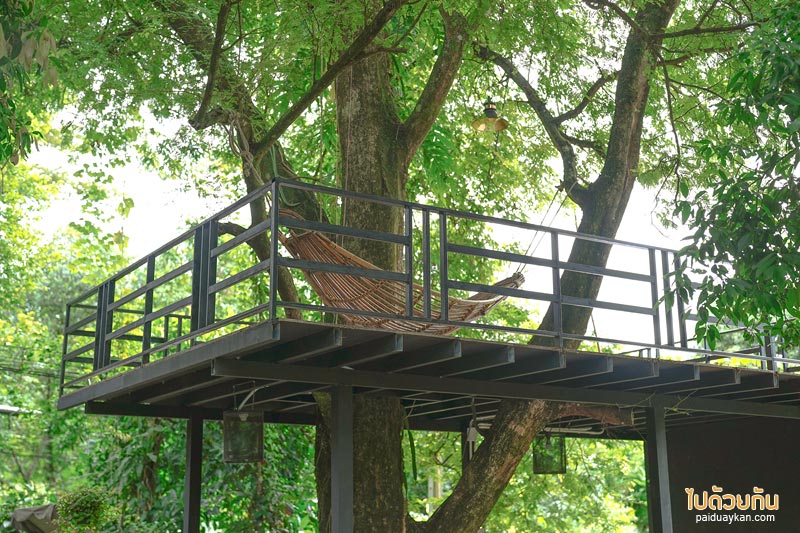 คาเฟ่นครนายก, 2nd november cafe, 2nd november cafe & o’ganic farm นครนายก