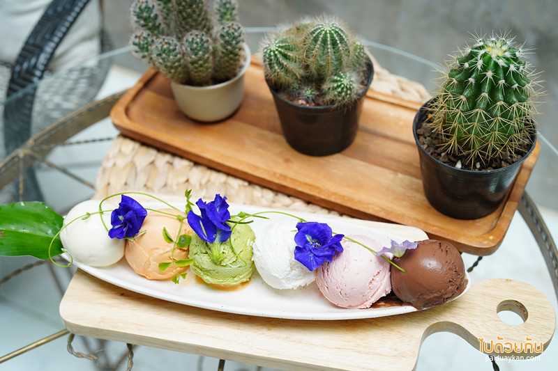 คาเฟ่นครนายก, 2nd november cafe, 2nd november cafe & o’ganic farm นครนายก