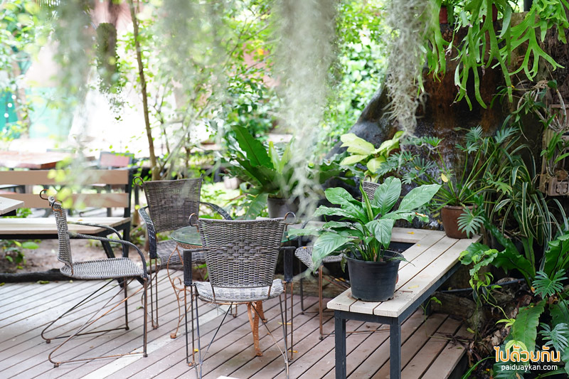 คาเฟ่นครนายก, 2nd november cafe, 2nd november cafe & o’ganic farm นครนายก