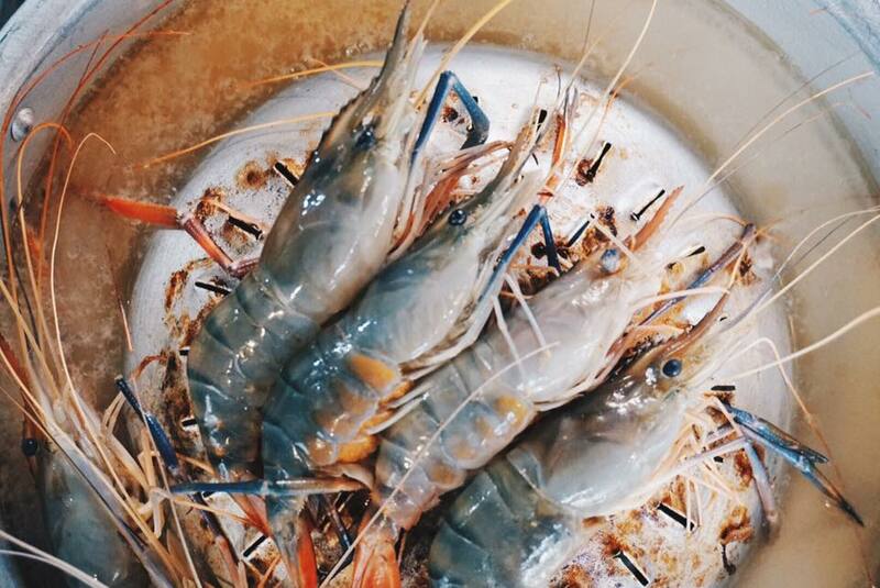 top 12+ ร้าน โคขุน-ปิ้งย่าง-ชาบู เต็มอิ่มกับอาหารนานาชนิดสไตล์ฮาลาลฟู้ด @กทม.