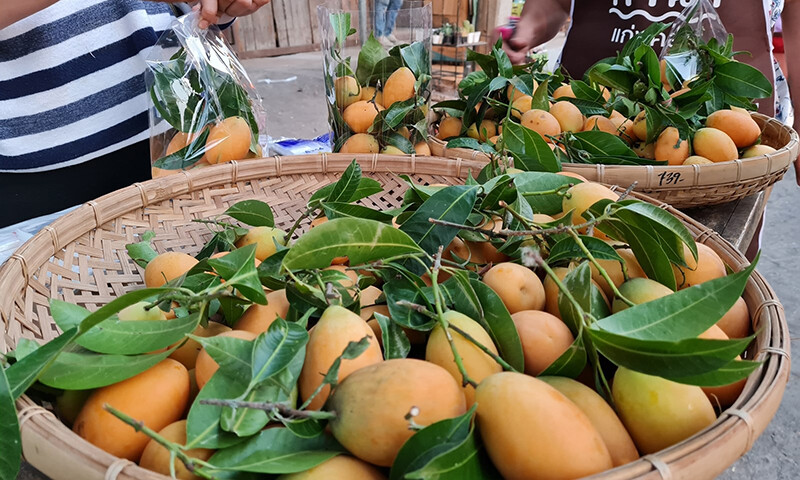 สระบุรี, top 10+ ที่เที่ยวแก่งคอย 2567 มวกเหล็ก สระบุรี เที่ยวน้ำตก ไหว้พระ ชมธรรมชาติ