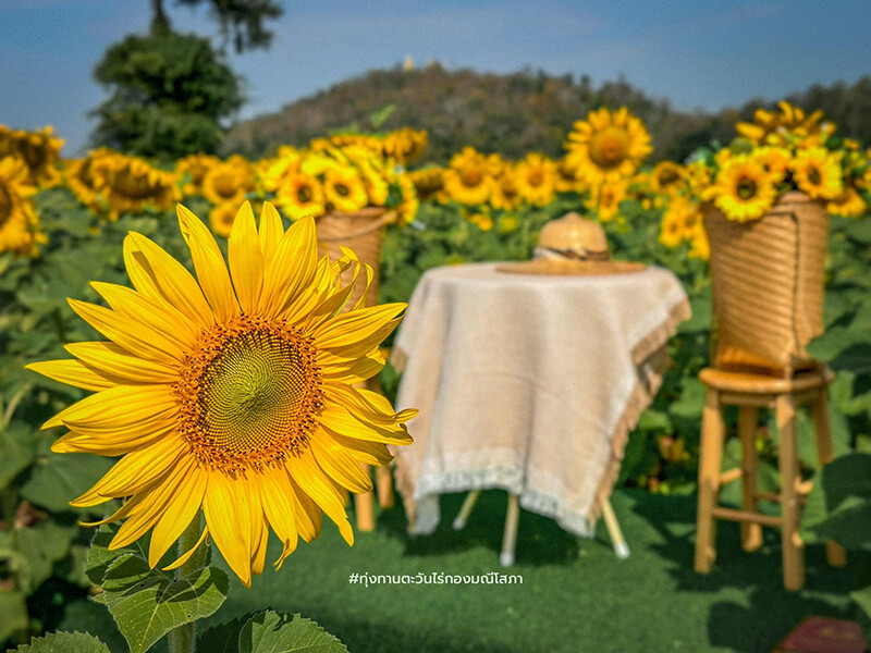 สระบุรี, top 10+ ที่เที่ยวแก่งคอย 2567 มวกเหล็ก สระบุรี เที่ยวน้ำตก ไหว้พระ ชมธรรมชาติ