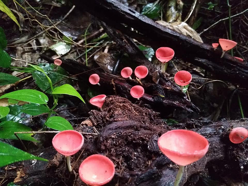 สระบุรี, top 10+ ที่เที่ยวแก่งคอย 2567 มวกเหล็ก สระบุรี เที่ยวน้ำตก ไหว้พระ ชมธรรมชาติ