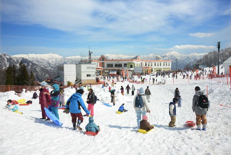edion arena osaka, japan, osaka grand sumo, การแข่งขันซูโม่+, คุระชิกิ, จังหวัดโอคะยะมะ, ชมดอกซากุระ, ซัปโปโร, ซูโม่ ฤดูใบไม้ผลิ, ญี่ปุ่น, ญี่ปุ่น มีนาคม, ตุ๊กตาฮินะ, ท่องเที่ยวญี่ปุ่น, ที่กิน ที่เที่ยว, ภูเขาไฟฟูจิ, ย่านเมืองเก่าคุระชิกิ, วัดโทไดจิ, วันเด็กผู้หญิง, วันไวท์เดย์, ศาลเจ้าอะวะชิมะ, ฮอกไกโด, ฮินะมะสึริ, เทศกาลญี่ปุ่น มีนาคม, เทศกาลในญี่ปุ่น, เที่ยวซัปโปโร, เที่ยวญี่ปุ่น, เที่ยวญี่ปุ่น มีนาคม, เที่ยวโอซาก้า, เมืองนารา, เมืองวาคายามะ, เอดิออน อารีน่า, โอซาก้า, โอมิซูโทริ, top 9+ เทศกาลน่าไป เมื่อไปเที่ยวประเทศญี่ปุ่น ในเดือนมีนาคม 2024