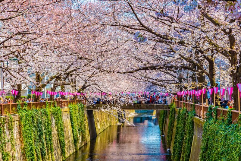 edion arena osaka, japan, osaka grand sumo, การแข่งขันซูโม่+, คุระชิกิ, จังหวัดโอคะยะมะ, ชมดอกซากุระ, ซัปโปโร, ซูโม่ ฤดูใบไม้ผลิ, ญี่ปุ่น, ญี่ปุ่น มีนาคม, ตุ๊กตาฮินะ, ท่องเที่ยวญี่ปุ่น, ที่กิน ที่เที่ยว, ภูเขาไฟฟูจิ, ย่านเมืองเก่าคุระชิกิ, วัดโทไดจิ, วันเด็กผู้หญิง, วันไวท์เดย์, ศาลเจ้าอะวะชิมะ, ฮอกไกโด, ฮินะมะสึริ, เทศกาลญี่ปุ่น มีนาคม, เทศกาลในญี่ปุ่น, เที่ยวซัปโปโร, เที่ยวญี่ปุ่น, เที่ยวญี่ปุ่น มีนาคม, เที่ยวโอซาก้า, เมืองนารา, เมืองวาคายามะ, เอดิออน อารีน่า, โอซาก้า, โอมิซูโทริ, top 9+ เทศกาลน่าไป เมื่อไปเที่ยวประเทศญี่ปุ่น ในเดือนมีนาคม 2024