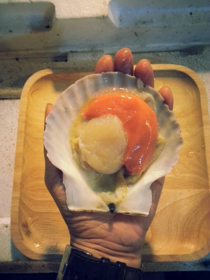 แนะนำ 5 ร้านหอย ทั้งใหญ่ ทั้งอร่อย