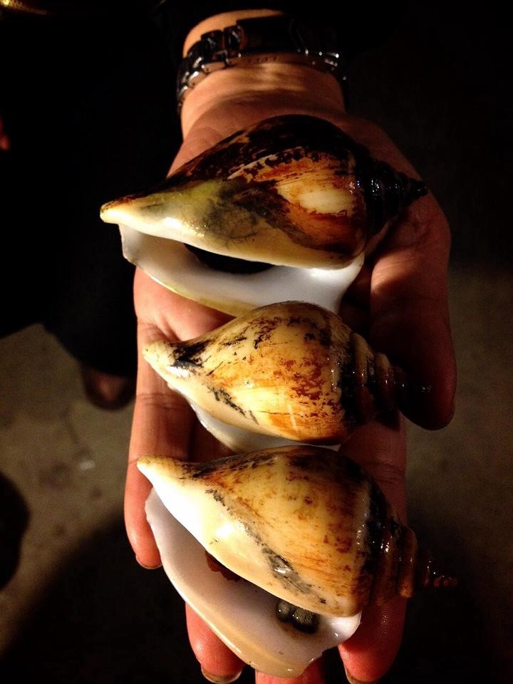 แนะนำ 5 ร้านหอย ทั้งใหญ่ ทั้งอร่อย