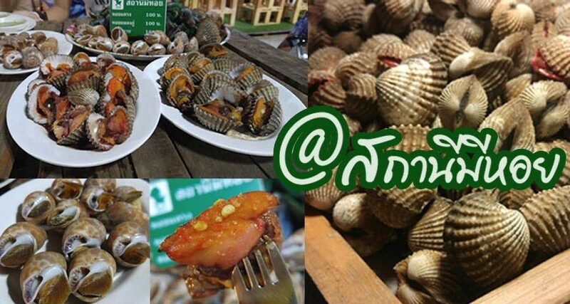 แนะนำ 5 ร้านหอย ทั้งใหญ่ ทั้งอร่อย