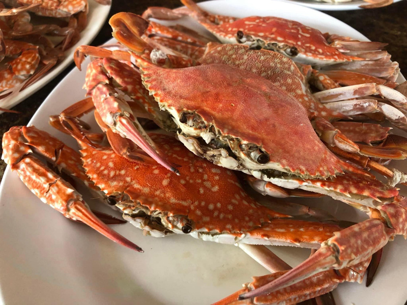 top 10+ ร้านอาหารชลบุรี 2567 วิวสวย ติดริมทะเล บรยากาศดี ราคาไม่แพง