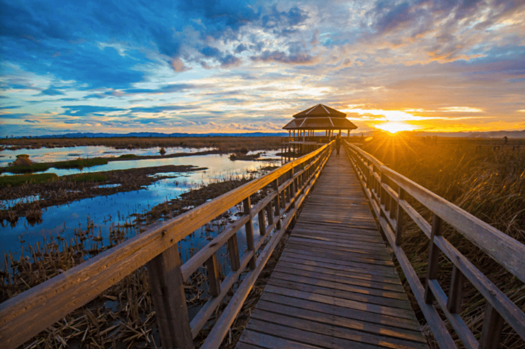 seen space, จุดชมวิวเขาแดง, ตลาดโต้รุ่งหัวหิน, ถ้ำพระยานคร, ที่เที่ยวประจวบ, ที่เที่ยวประจวบ 2020, ที่เที่ยวประจวบ 2021, ที่เที่ยวประจวบ 2563, ที่เที่ยวประจวบ 2564, ที่เที่ยวประจวบ 2565, ที่เที่ยวประจวบคีรีขันธ์ 2565, ประจวบคีรีขันธ์, ปราณบุรี, วนอุทยานปราณบุรี, วัดห้วยมงคล, ศูนย์ศึกษาธรรมชาติบึงบัว, สถานีรถไฟหัวหิน, หัวหิน, หาดปราณบุรี, หาดหัวหิน, หาดเขากะโหลก, อุทยานราชภักดิ์, อุทยานแห่งชาติเขาสามร้อยยอด, เกาะทะลุ, เขาหินเหล็กไฟ, เที่ยวประจวบ, top 10+ ที่เที่ยว ประจวบคีรีขันธ์ เที่ยวทะเล ชมถ้ำ เดินเล่นบึงบัว