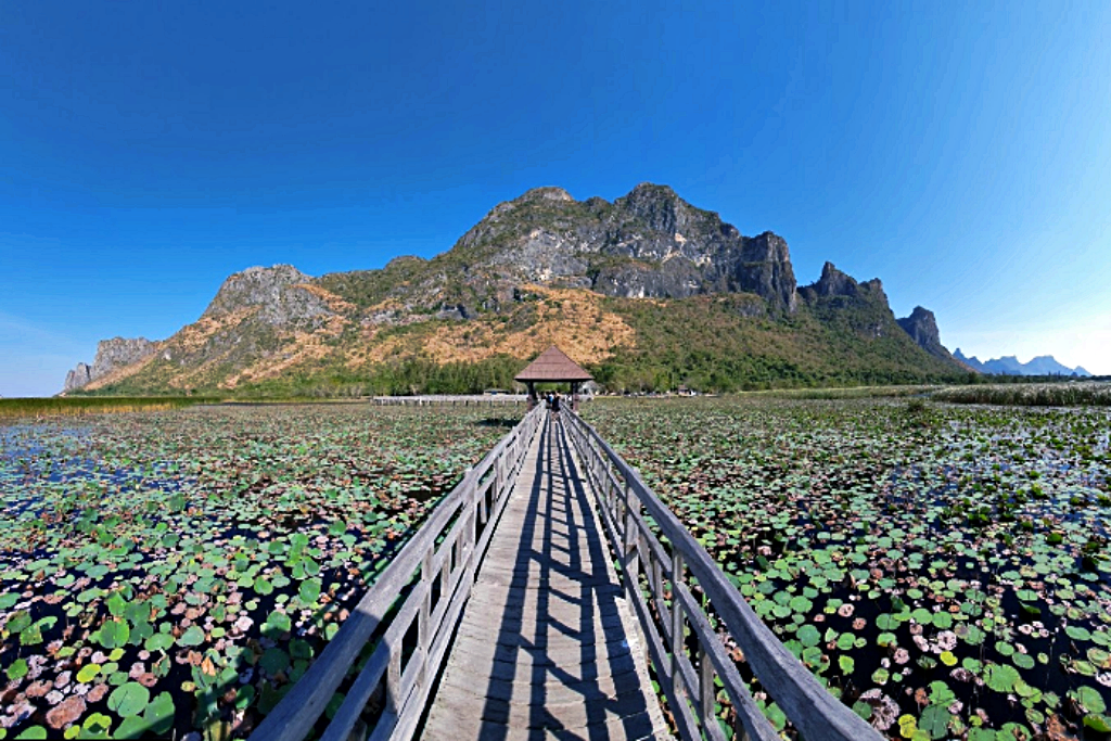 seen space, จุดชมวิวเขาแดง, ตลาดโต้รุ่งหัวหิน, ถ้ำพระยานคร, ที่เที่ยวประจวบ, ที่เที่ยวประจวบ 2020, ที่เที่ยวประจวบ 2021, ที่เที่ยวประจวบ 2563, ที่เที่ยวประจวบ 2564, ที่เที่ยวประจวบ 2565, ที่เที่ยวประจวบคีรีขันธ์ 2565, ประจวบคีรีขันธ์, ปราณบุรี, วนอุทยานปราณบุรี, วัดห้วยมงคล, ศูนย์ศึกษาธรรมชาติบึงบัว, สถานีรถไฟหัวหิน, หัวหิน, หาดปราณบุรี, หาดหัวหิน, หาดเขากะโหลก, อุทยานราชภักดิ์, อุทยานแห่งชาติเขาสามร้อยยอด, เกาะทะลุ, เขาหินเหล็กไฟ, เที่ยวประจวบ, top 10+ ที่เที่ยว ประจวบคีรีขันธ์ เที่ยวทะเล ชมถ้ำ เดินเล่นบึงบัว