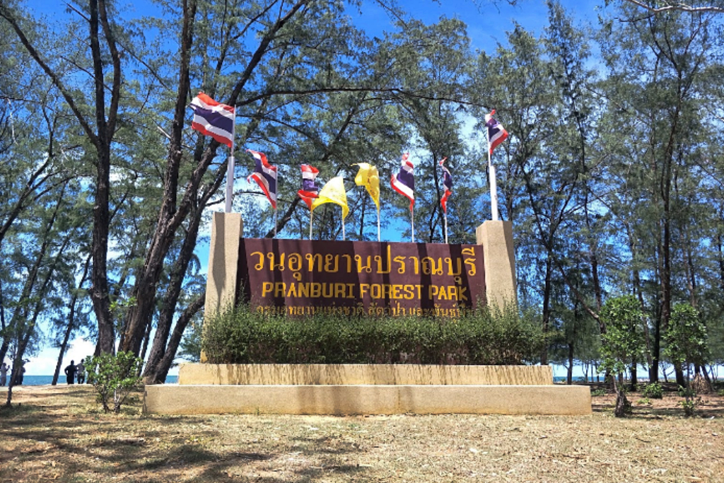 seen space, จุดชมวิวเขาแดง, ตลาดโต้รุ่งหัวหิน, ถ้ำพระยานคร, ที่เที่ยวประจวบ, ที่เที่ยวประจวบ 2020, ที่เที่ยวประจวบ 2021, ที่เที่ยวประจวบ 2563, ที่เที่ยวประจวบ 2564, ที่เที่ยวประจวบ 2565, ที่เที่ยวประจวบคีรีขันธ์ 2565, ประจวบคีรีขันธ์, ปราณบุรี, วนอุทยานปราณบุรี, วัดห้วยมงคล, ศูนย์ศึกษาธรรมชาติบึงบัว, สถานีรถไฟหัวหิน, หัวหิน, หาดปราณบุรี, หาดหัวหิน, หาดเขากะโหลก, อุทยานราชภักดิ์, อุทยานแห่งชาติเขาสามร้อยยอด, เกาะทะลุ, เขาหินเหล็กไฟ, เที่ยวประจวบ, top 10+ ที่เที่ยว ประจวบคีรีขันธ์ เที่ยวทะเล ชมถ้ำ เดินเล่นบึงบัว