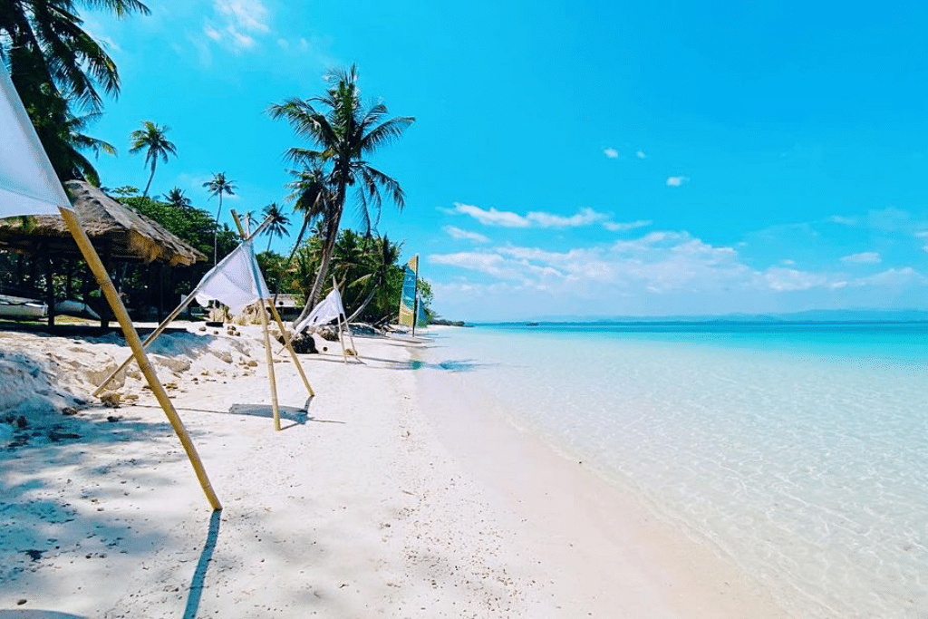 seen space, จุดชมวิวเขาแดง, ตลาดโต้รุ่งหัวหิน, ถ้ำพระยานคร, ที่เที่ยวประจวบ, ที่เที่ยวประจวบ 2020, ที่เที่ยวประจวบ 2021, ที่เที่ยวประจวบ 2563, ที่เที่ยวประจวบ 2564, ที่เที่ยวประจวบ 2565, ที่เที่ยวประจวบคีรีขันธ์ 2565, ประจวบคีรีขันธ์, ปราณบุรี, วนอุทยานปราณบุรี, วัดห้วยมงคล, ศูนย์ศึกษาธรรมชาติบึงบัว, สถานีรถไฟหัวหิน, หัวหิน, หาดปราณบุรี, หาดหัวหิน, หาดเขากะโหลก, อุทยานราชภักดิ์, อุทยานแห่งชาติเขาสามร้อยยอด, เกาะทะลุ, เขาหินเหล็กไฟ, เที่ยวประจวบ, top 10+ ที่เที่ยว ประจวบคีรีขันธ์ เที่ยวทะเล ชมถ้ำ เดินเล่นบึงบัว