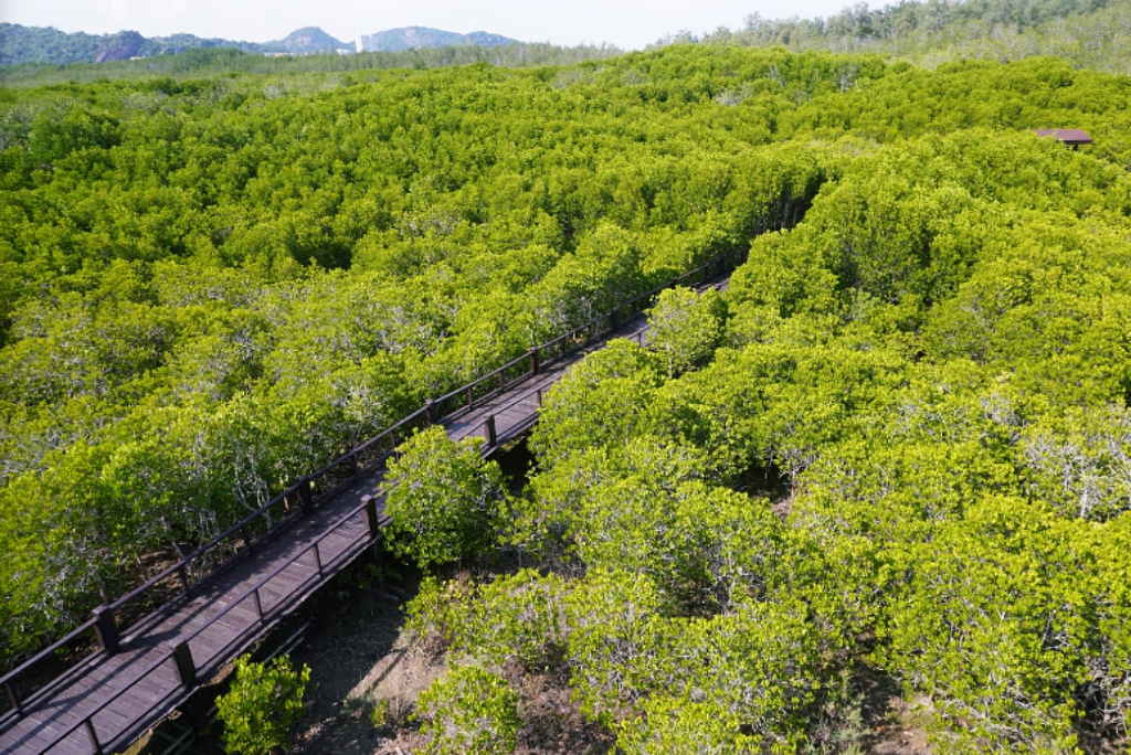 seen space, จุดชมวิวเขาแดง, ตลาดโต้รุ่งหัวหิน, ถ้ำพระยานคร, ที่เที่ยวประจวบ, ที่เที่ยวประจวบ 2020, ที่เที่ยวประจวบ 2021, ที่เที่ยวประจวบ 2563, ที่เที่ยวประจวบ 2564, ที่เที่ยวประจวบ 2565, ที่เที่ยวประจวบคีรีขันธ์ 2565, ประจวบคีรีขันธ์, ปราณบุรี, วนอุทยานปราณบุรี, วัดห้วยมงคล, ศูนย์ศึกษาธรรมชาติบึงบัว, สถานีรถไฟหัวหิน, หัวหิน, หาดปราณบุรี, หาดหัวหิน, หาดเขากะโหลก, อุทยานราชภักดิ์, อุทยานแห่งชาติเขาสามร้อยยอด, เกาะทะลุ, เขาหินเหล็กไฟ, เที่ยวประจวบ, top 10+ ที่เที่ยว ประจวบคีรีขันธ์ เที่ยวทะเล ชมถ้ำ เดินเล่นบึงบัว