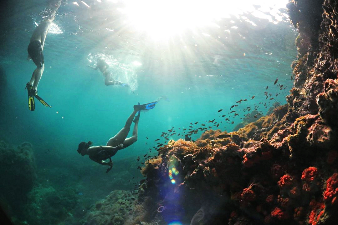 seen space, จุดชมวิวเขาแดง, ตลาดโต้รุ่งหัวหิน, ถ้ำพระยานคร, ที่เที่ยวประจวบ, ที่เที่ยวประจวบ 2020, ที่เที่ยวประจวบ 2021, ที่เที่ยวประจวบ 2563, ที่เที่ยวประจวบ 2564, ที่เที่ยวประจวบ 2565, ที่เที่ยวประจวบคีรีขันธ์ 2565, ประจวบคีรีขันธ์, ปราณบุรี, วนอุทยานปราณบุรี, วัดห้วยมงคล, ศูนย์ศึกษาธรรมชาติบึงบัว, สถานีรถไฟหัวหิน, หัวหิน, หาดปราณบุรี, หาดหัวหิน, หาดเขากะโหลก, อุทยานราชภักดิ์, อุทยานแห่งชาติเขาสามร้อยยอด, เกาะทะลุ, เขาหินเหล็กไฟ, เที่ยวประจวบ, top 10+ ที่เที่ยว ประจวบคีรีขันธ์ เที่ยวทะเล ชมถ้ำ เดินเล่นบึงบัว