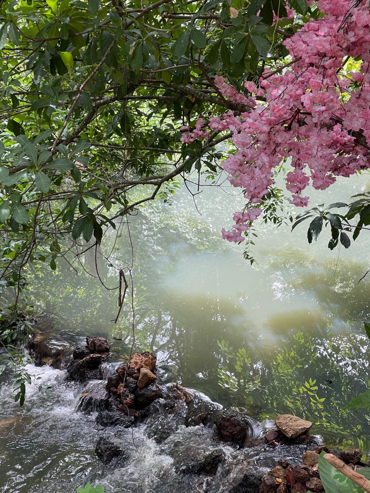 top 16+ คาเฟ่ ตรัง บรรยากาศดีน่าถ่ายรูป เหมาะแก่การนั่งทำงานและไม่ไกลจากตัวเมือง