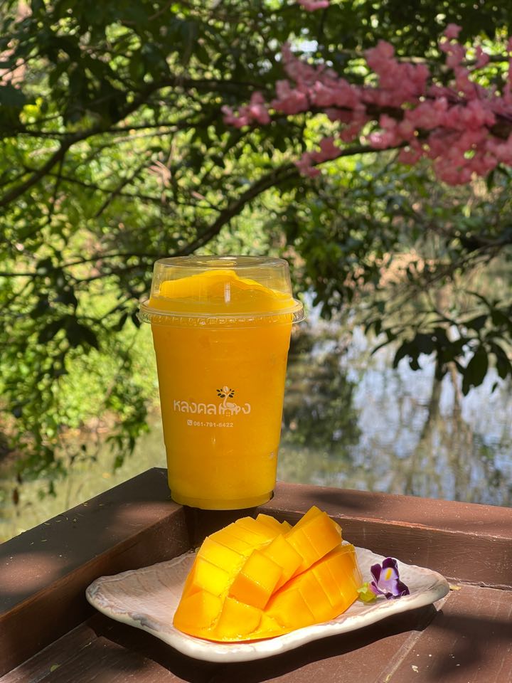 top 16+ คาเฟ่ ตรัง บรรยากาศดีน่าถ่ายรูป เหมาะแก่การนั่งทำงานและไม่ไกลจากตัวเมือง