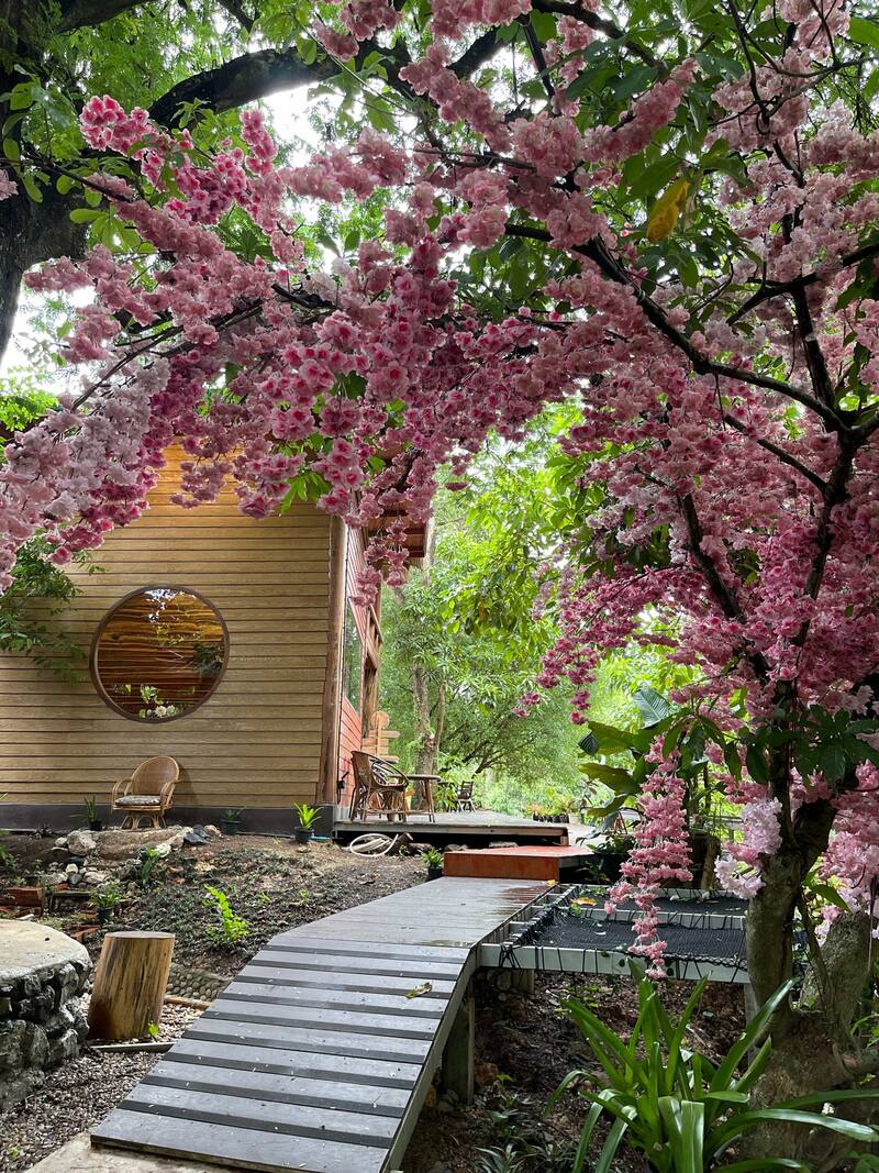 top 16+ คาเฟ่ ตรัง บรรยากาศดีน่าถ่ายรูป เหมาะแก่การนั่งทำงานและไม่ไกลจากตัวเมือง