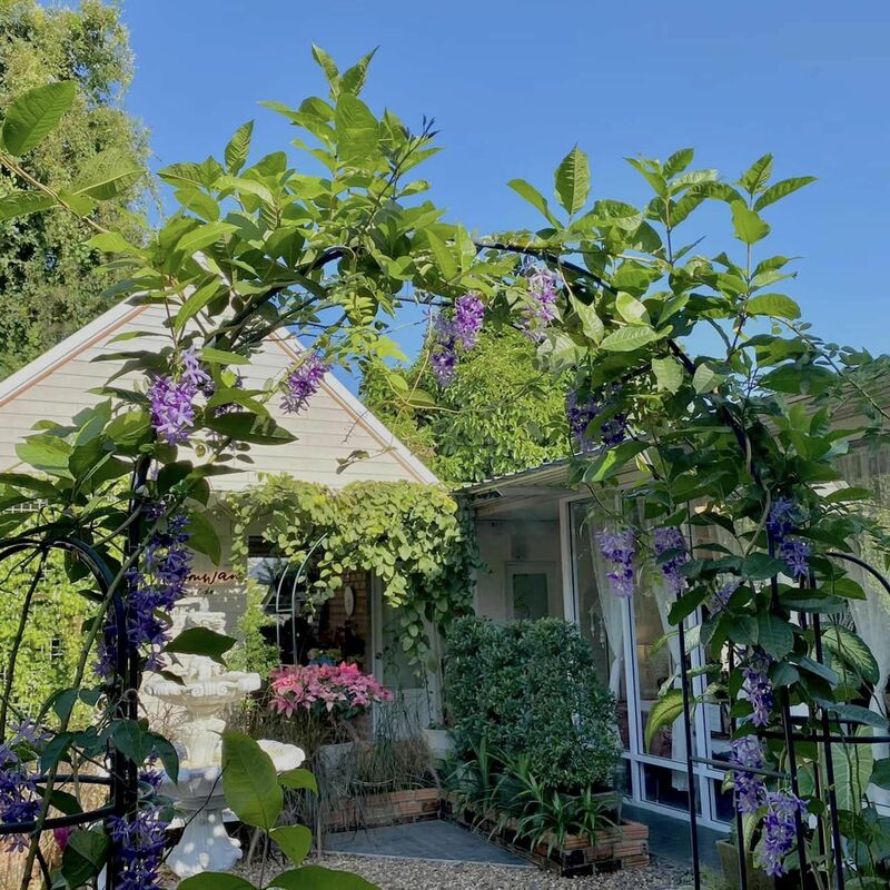 top 16+ คาเฟ่ ตรัง บรรยากาศดีน่าถ่ายรูป เหมาะแก่การนั่งทำงานและไม่ไกลจากตัวเมือง