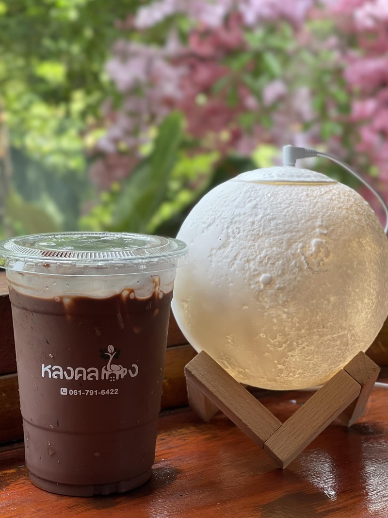 top 16+ คาเฟ่ ตรัง บรรยากาศดีน่าถ่ายรูป เหมาะแก่การนั่งทำงานและไม่ไกลจากตัวเมือง