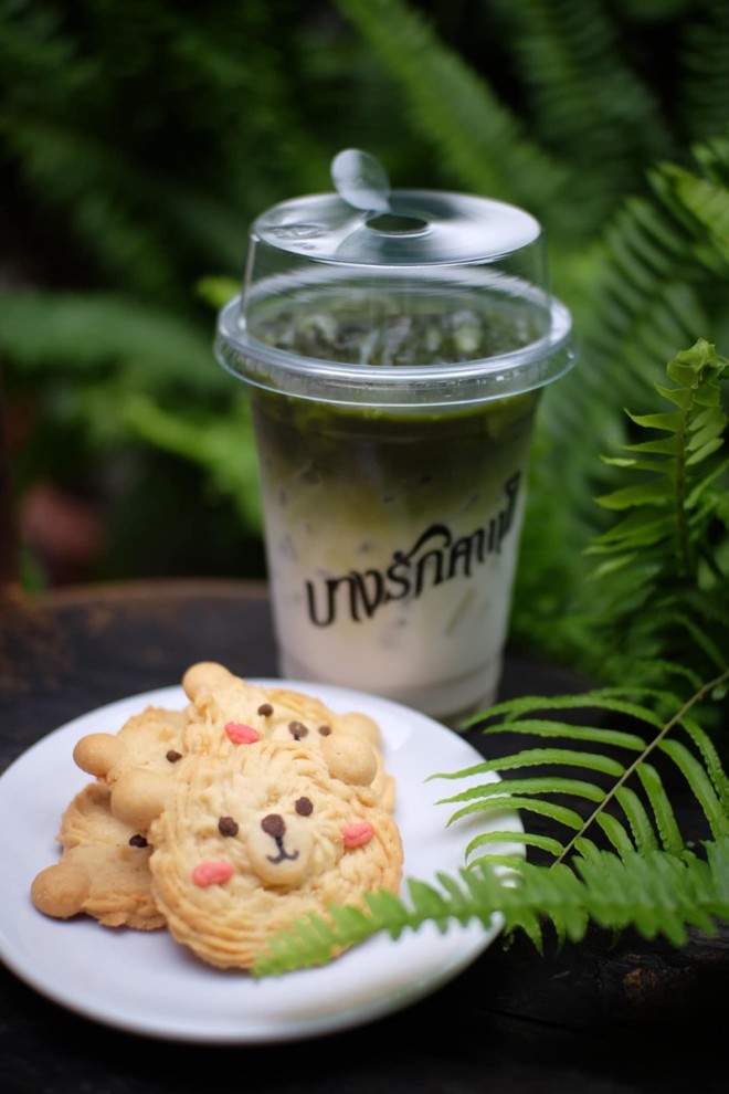 top 7+ คาเฟ่วังน้ำเขียว 2567 ร้านลับ ร้านเปิดใหม่ ริมน้ำ วิวสวย