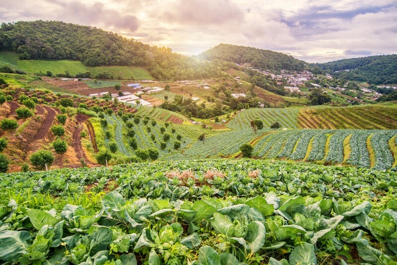 ดอยม่อนแจ่ม, ดอยหลวงเชียงดาว, ดอยอ่างขาง, ดอยอินทนนท์, ถนนคนเดินท่าแพ, ถนนคนเดินวัวลาย, ถนนช้างม่อยเก่า, ที่เที่ยวเชียงใหม่, ที่เที่ยวเชียงใหม่ 2024, ที่เที่ยวเชียงใหม่ 2567, ที่เที่ยวเชียงใหม่ อำเภอเมือง, ที่เที่ยวเมืองเชียงใหม่, นิมมาน, นิมมานเหมินทร์, บ้านป่าบงเปียง, ประตูท่าแพ, พระตำหนักภูพิงคราชนิเวศน์, ม่อนแจ่ม, วัดพระธาตุดอยสุเทพ, วัดพระสิงห์, วัดพระสิงห์ วรมหาวิหาร, วัดศรีสุพรรณ, วัดอุโมงค์ สวนพุทธธรรม, วัดอุโมงค์ เชียงใหม่, วัดเจดีย์หลวงวรวิหาร, สวนพฤกษศาสตร์สมเด็จพระนางเจ้าสิริกิติ์, สวนพฤกษศาสตร์เชียงใหม่, สวนสัตว์เชียงใหม่, ห้วยน้ำดัง, เชียงใหม่, เชียงใหม่ที่เที่ยว, เที่ยวเชียงใหม่, เที่ยวเชียงใหม่ 2024, เที่ยวเชียงใหม่ 2567, เมืองเชียงใหม่, แม่กำปอง, top 30+ ที่เที่ยวเชียงใหม่ อัปเดต [กรกฎาคม 2024] เที่ยวฟิน เคล้าลมหนาว