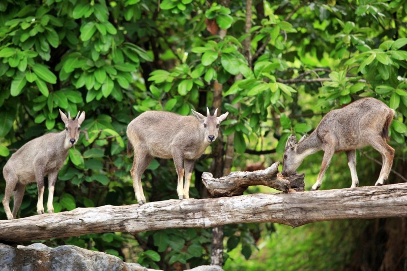 ดอยม่อนแจ่ม, ดอยหลวงเชียงดาว, ดอยอ่างขาง, ดอยอินทนนท์, ถนนคนเดินท่าแพ, ถนนคนเดินวัวลาย, ถนนช้างม่อยเก่า, ที่เที่ยวเชียงใหม่, ที่เที่ยวเชียงใหม่ 2024, ที่เที่ยวเชียงใหม่ 2567, ที่เที่ยวเชียงใหม่ อำเภอเมือง, ที่เที่ยวเมืองเชียงใหม่, นิมมาน, นิมมานเหมินทร์, บ้านป่าบงเปียง, ประตูท่าแพ, พระตำหนักภูพิงคราชนิเวศน์, ม่อนแจ่ม, วัดพระธาตุดอยสุเทพ, วัดพระสิงห์, วัดพระสิงห์ วรมหาวิหาร, วัดศรีสุพรรณ, วัดอุโมงค์ สวนพุทธธรรม, วัดอุโมงค์ เชียงใหม่, วัดเจดีย์หลวงวรวิหาร, สวนพฤกษศาสตร์สมเด็จพระนางเจ้าสิริกิติ์, สวนพฤกษศาสตร์เชียงใหม่, สวนสัตว์เชียงใหม่, ห้วยน้ำดัง, เชียงใหม่, เชียงใหม่ที่เที่ยว, เที่ยวเชียงใหม่, เที่ยวเชียงใหม่ 2024, เที่ยวเชียงใหม่ 2567, เมืองเชียงใหม่, แม่กำปอง, top 30+ ที่เที่ยวเชียงใหม่ อัปเดต [กรกฎาคม 2024] เที่ยวฟิน เคล้าลมหนาว