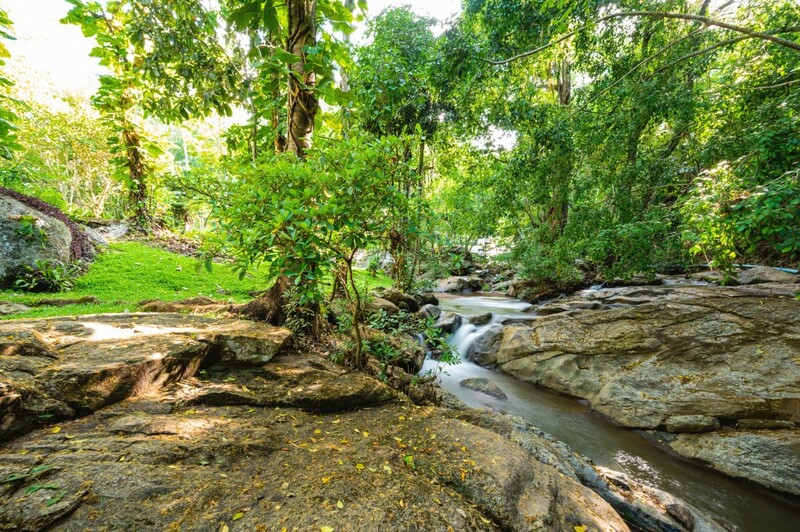 ดอยม่อนแจ่ม, ดอยหลวงเชียงดาว, ดอยอ่างขาง, ดอยอินทนนท์, ถนนคนเดินท่าแพ, ถนนคนเดินวัวลาย, ถนนช้างม่อยเก่า, ที่เที่ยวเชียงใหม่, ที่เที่ยวเชียงใหม่ 2024, ที่เที่ยวเชียงใหม่ 2567, ที่เที่ยวเชียงใหม่ อำเภอเมือง, ที่เที่ยวเมืองเชียงใหม่, นิมมาน, นิมมานเหมินทร์, บ้านป่าบงเปียง, ประตูท่าแพ, พระตำหนักภูพิงคราชนิเวศน์, ม่อนแจ่ม, วัดพระธาตุดอยสุเทพ, วัดพระสิงห์, วัดพระสิงห์ วรมหาวิหาร, วัดศรีสุพรรณ, วัดอุโมงค์ สวนพุทธธรรม, วัดอุโมงค์ เชียงใหม่, วัดเจดีย์หลวงวรวิหาร, สวนพฤกษศาสตร์สมเด็จพระนางเจ้าสิริกิติ์, สวนพฤกษศาสตร์เชียงใหม่, สวนสัตว์เชียงใหม่, ห้วยน้ำดัง, เชียงใหม่, เชียงใหม่ที่เที่ยว, เที่ยวเชียงใหม่, เที่ยวเชียงใหม่ 2024, เที่ยวเชียงใหม่ 2567, เมืองเชียงใหม่, แม่กำปอง, top 30+ ที่เที่ยวเชียงใหม่ อัปเดต [กรกฎาคม 2024] เที่ยวฟิน เคล้าลมหนาว