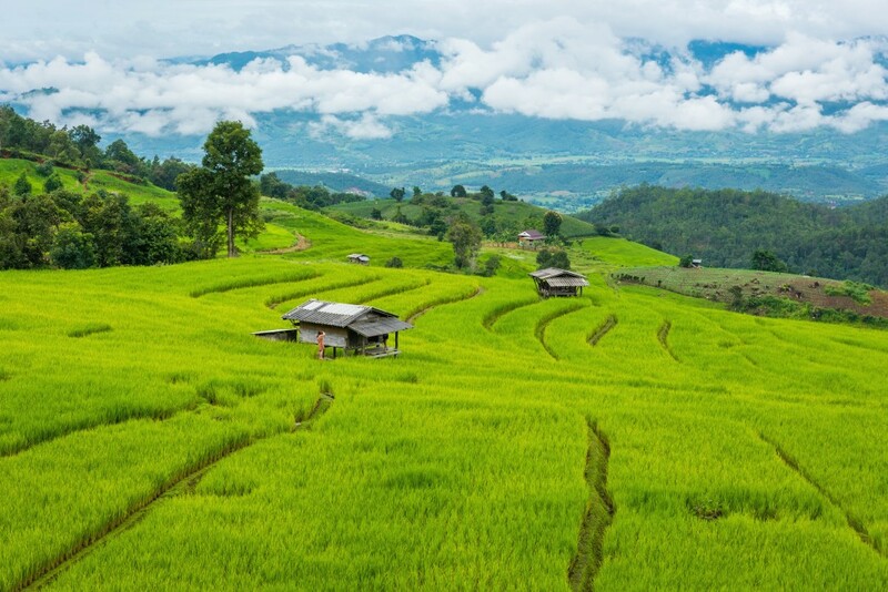 ดอยม่อนแจ่ม, ดอยหลวงเชียงดาว, ดอยอ่างขาง, ดอยอินทนนท์, ถนนคนเดินท่าแพ, ถนนคนเดินวัวลาย, ถนนช้างม่อยเก่า, ที่เที่ยวเชียงใหม่, ที่เที่ยวเชียงใหม่ 2024, ที่เที่ยวเชียงใหม่ 2567, ที่เที่ยวเชียงใหม่ อำเภอเมือง, ที่เที่ยวเมืองเชียงใหม่, นิมมาน, นิมมานเหมินทร์, บ้านป่าบงเปียง, ประตูท่าแพ, พระตำหนักภูพิงคราชนิเวศน์, ม่อนแจ่ม, วัดพระธาตุดอยสุเทพ, วัดพระสิงห์, วัดพระสิงห์ วรมหาวิหาร, วัดศรีสุพรรณ, วัดอุโมงค์ สวนพุทธธรรม, วัดอุโมงค์ เชียงใหม่, วัดเจดีย์หลวงวรวิหาร, สวนพฤกษศาสตร์สมเด็จพระนางเจ้าสิริกิติ์, สวนพฤกษศาสตร์เชียงใหม่, สวนสัตว์เชียงใหม่, ห้วยน้ำดัง, เชียงใหม่, เชียงใหม่ที่เที่ยว, เที่ยวเชียงใหม่, เที่ยวเชียงใหม่ 2024, เที่ยวเชียงใหม่ 2567, เมืองเชียงใหม่, แม่กำปอง, top 30+ ที่เที่ยวเชียงใหม่ อัปเดต [กรกฎาคม 2024] เที่ยวฟิน เคล้าลมหนาว